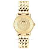 COACH 14504370 Elliot Gold Stainless Steel Strap