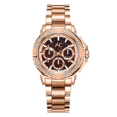 Alexandre Christie Collection AC 9205 BF Rosegold Dial Brown Stainless Steel Strap