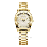 AIGNER DAIANA AGW.268004 Full Gold Stainless Steel