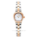 AIGNER AGW.256003 Women's Watch Silver Rosegold Swiss Made