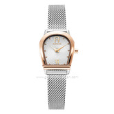 AIGNER MOLISE II AGW.282006.C Silver Rosegold Shandrope Strap Swiss Made