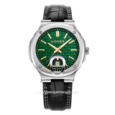 AIGNER TAVIANO 2 AGW.241002 Black Silver Dial green Swiss Made