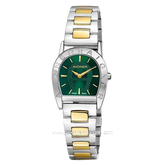 AIGNER PISA ARWLG0000602 Womens Watch Swiss Made