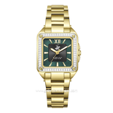 Beverly Hills Polo Club BP3671C.170 Gold Dial Green Stainless Steel