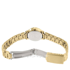 CASIO LTP-V002G-9B3UDF Gold Stainless Steel
