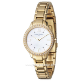 PIERRE CARDIN SAINT LOUIS CRM.0006 Gold Dial White Stainless Steel