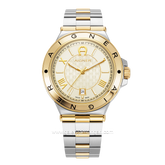 AIGNER TRIESTE 2 AGW.243003 Silver Gold Watch Swiss Made