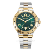 AIGNER TRIESTE 2 AGW.243004 Silver Gold Dial Green Watch Swiss Made