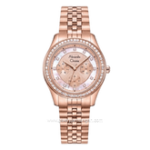 Alexandre Christie AC 2496 BFBRGLN1 Rose Gold Dial Dual Tone Stainless Steel Strap