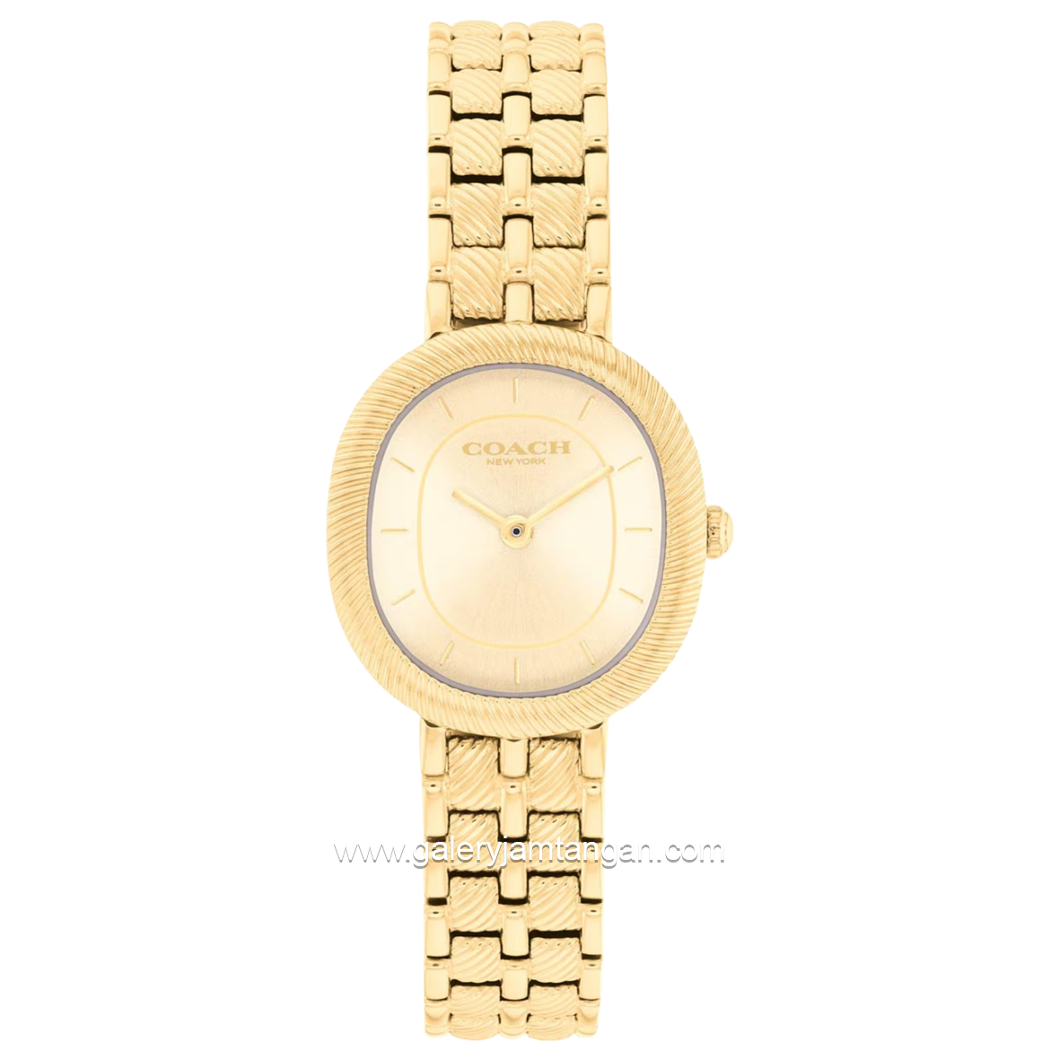 COACH HARLOW 14504660 Gold Stainless Steel Strap