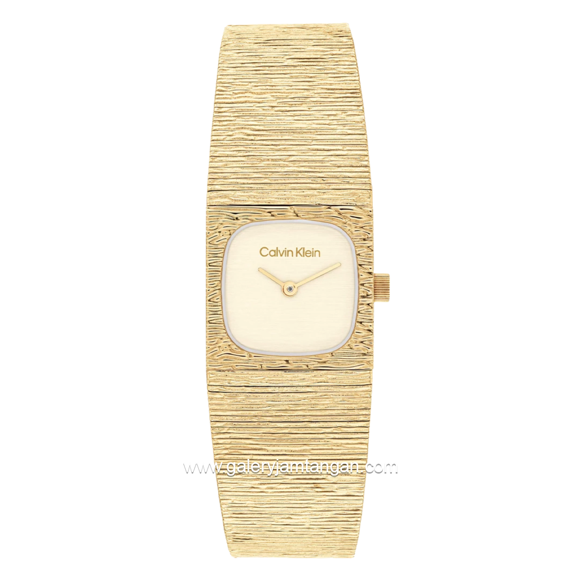 CALVIN KLEIN SOPHISTICATED 25100178 Stainless Steel Strap