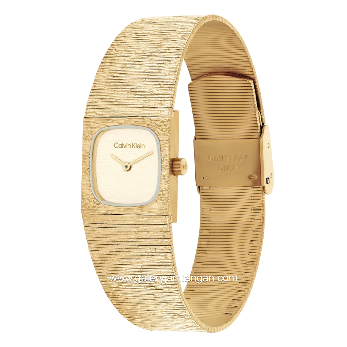 CALVIN KLEIN SOPHISTICATED 25100178 Stainless Steel Strap