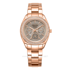 Alexandre Christie AC 2A36 BF Rosegold Dial Brown Stainless Steel