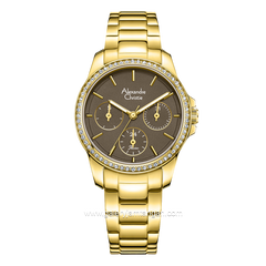 Alexandre Christie AC 2A97 BF Gold Dial Brown Stainless Steel