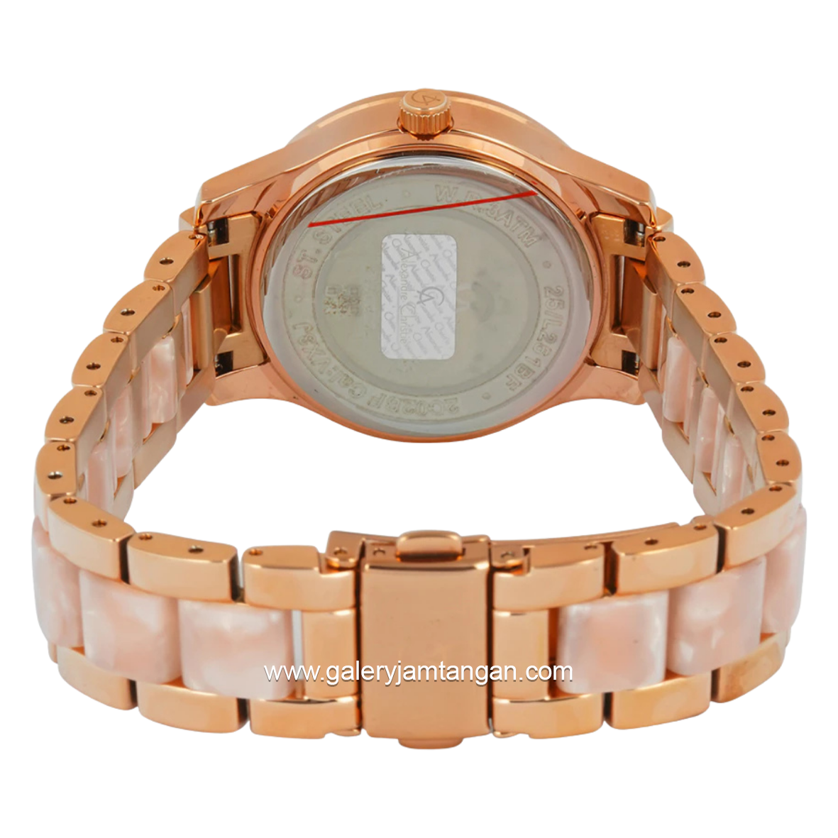 Alexandre Christie AC 2C02 BFBRGRGPN Dual Tone Dial Rosegold St Steel Acetate Strap