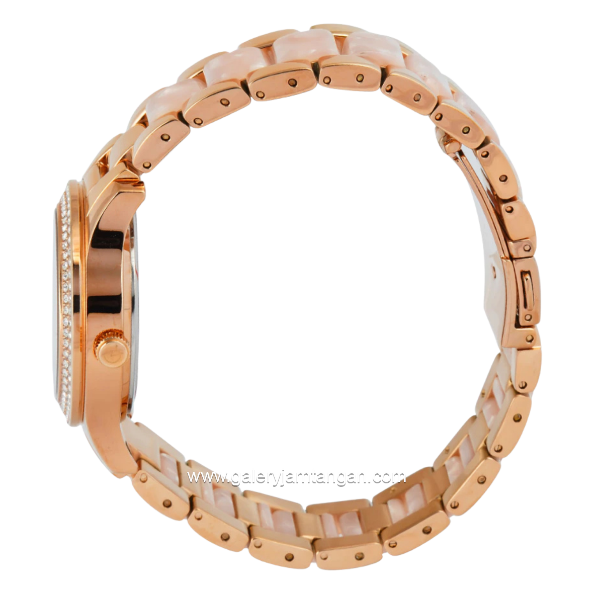 Alexandre Christie AC 2C02 BFBRGRGPN Dual Tone Dial Rosegold St Steel Acetate Strap