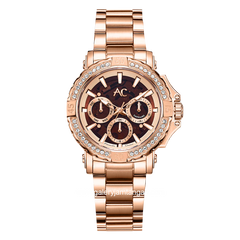 Alexandre Christie Collection AC 9205 BF Rosegold Dial Brown Stainless Steel Strap