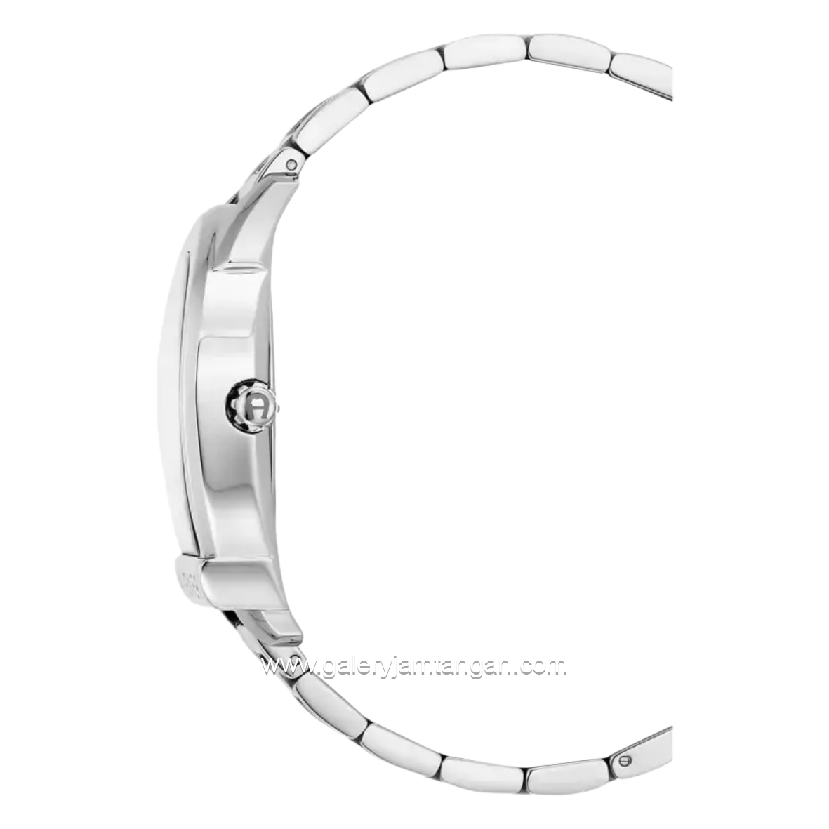 AIGNER SIENA AGW.244006 Silver Series Watch Swiss Made