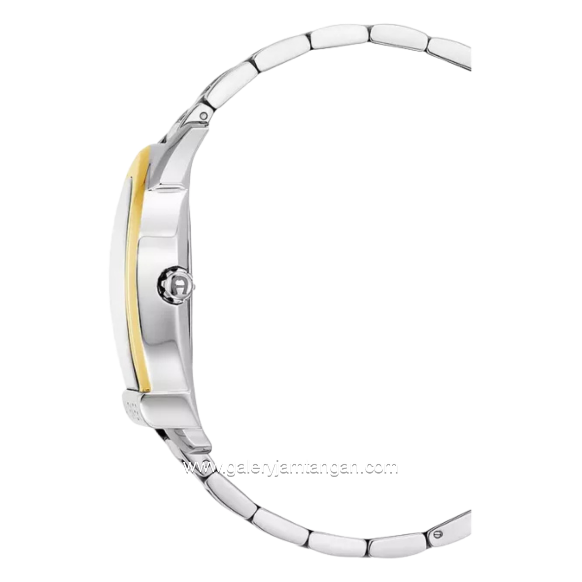 AIGNER SIENA AGW.244007 Silver Gold Watch Swiss Made