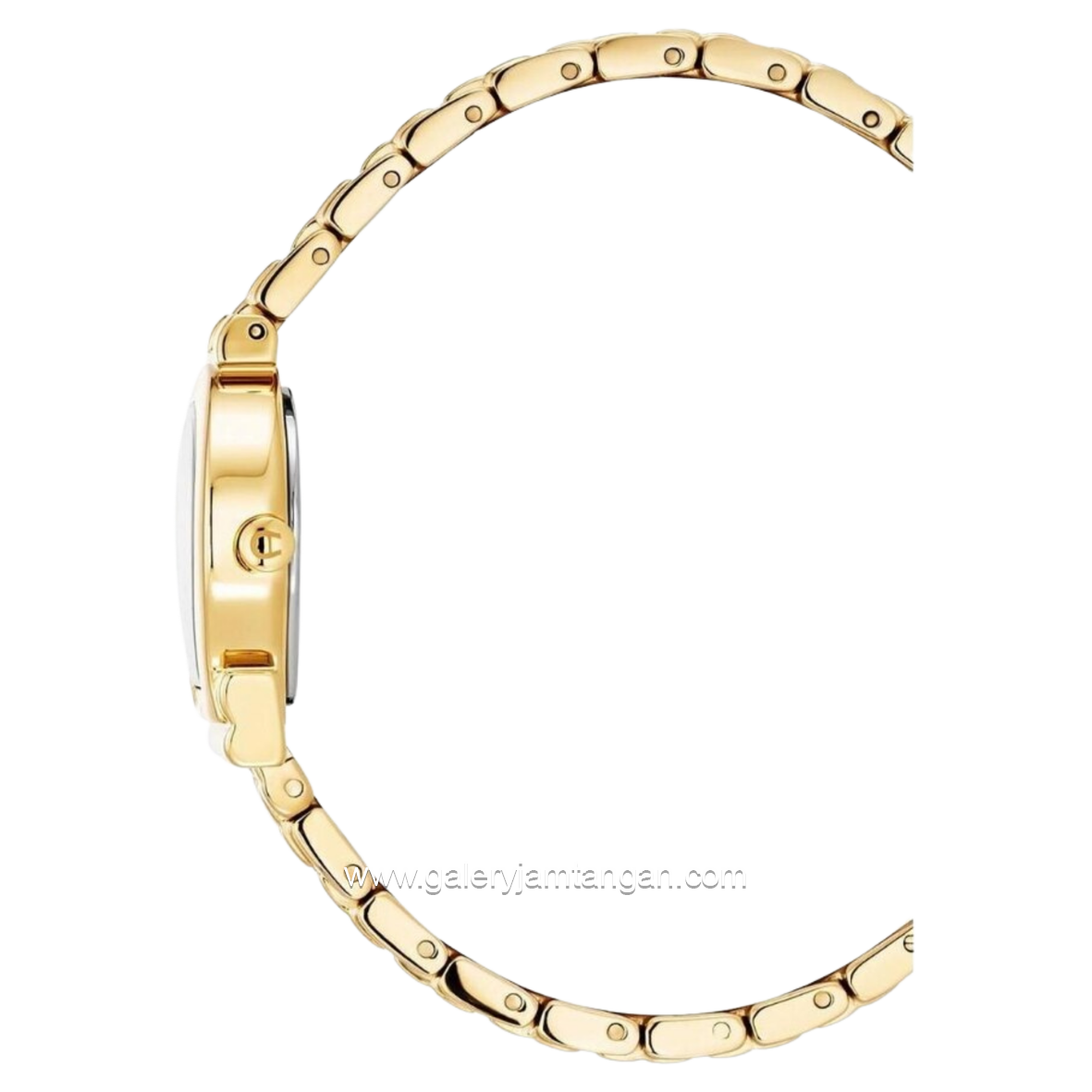 Aigner Tivoli Due AGW.258005 Gold Stainless Steel Swiss Made
