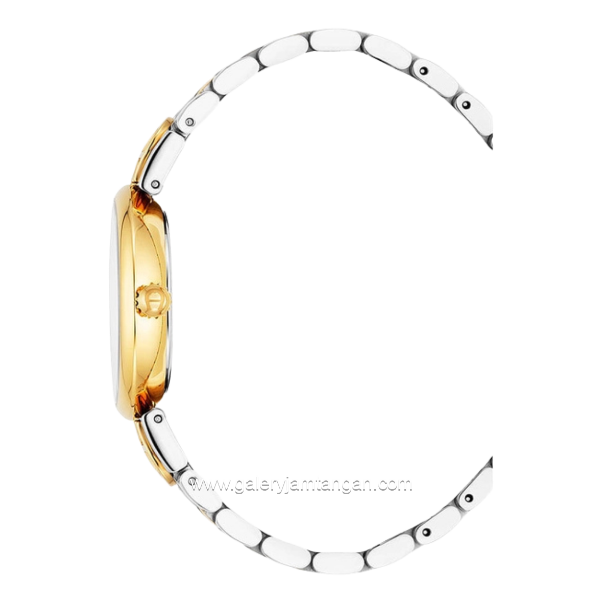 AIGNER DOLCE AGW.265002 Women's Watch Swiss Made