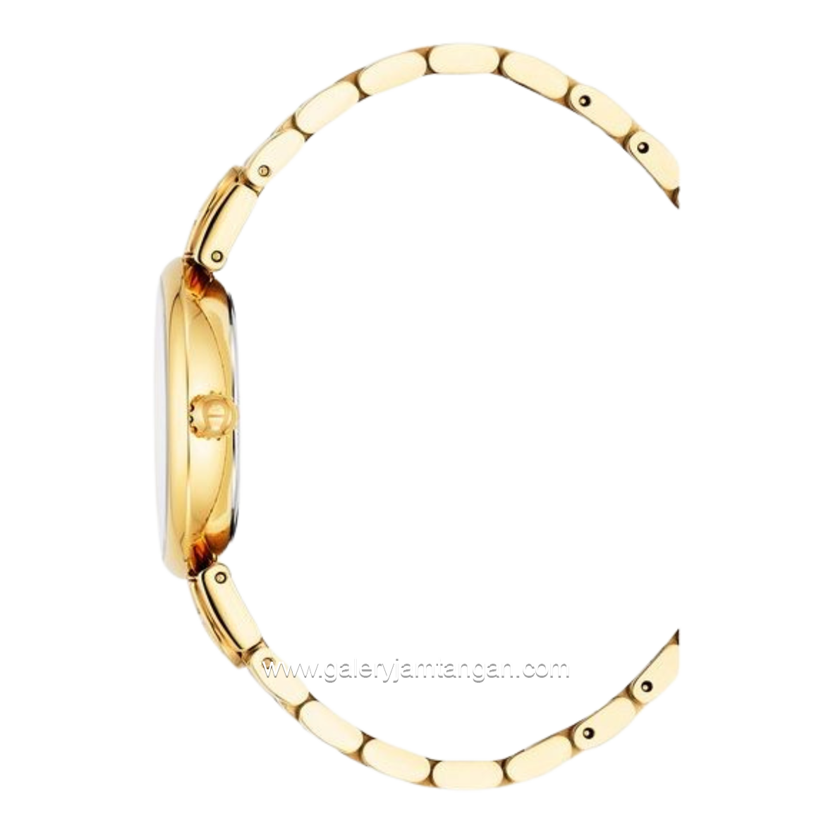 AIGNER DOLCE AGW.265004 Women's Watch Swiss Made