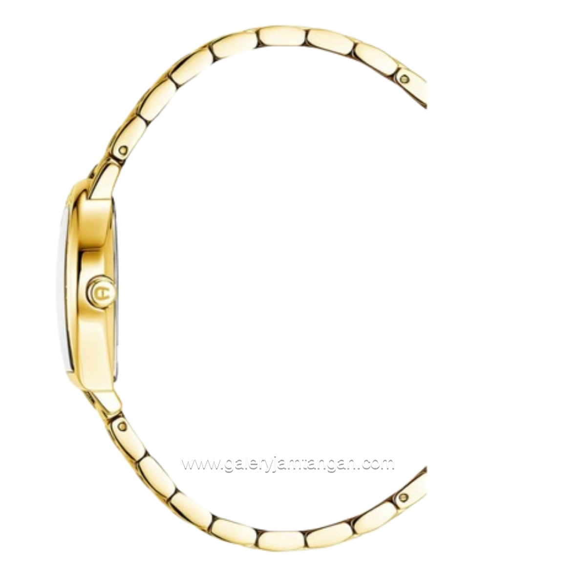 AIGNER DAIANA AGW.268004 Full Gold Stainless Steel