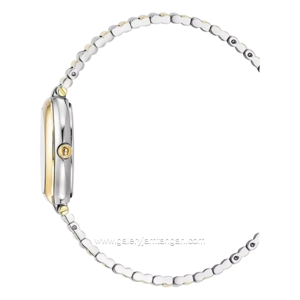 AIGNER IMPERIA AGW.291002 Silver Combi Gold Dial White MOP Stainless Steel