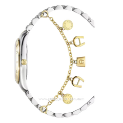 AIGNER SCAFATI MENO AGW.292002 Silver Combi Gold Stainless Steel