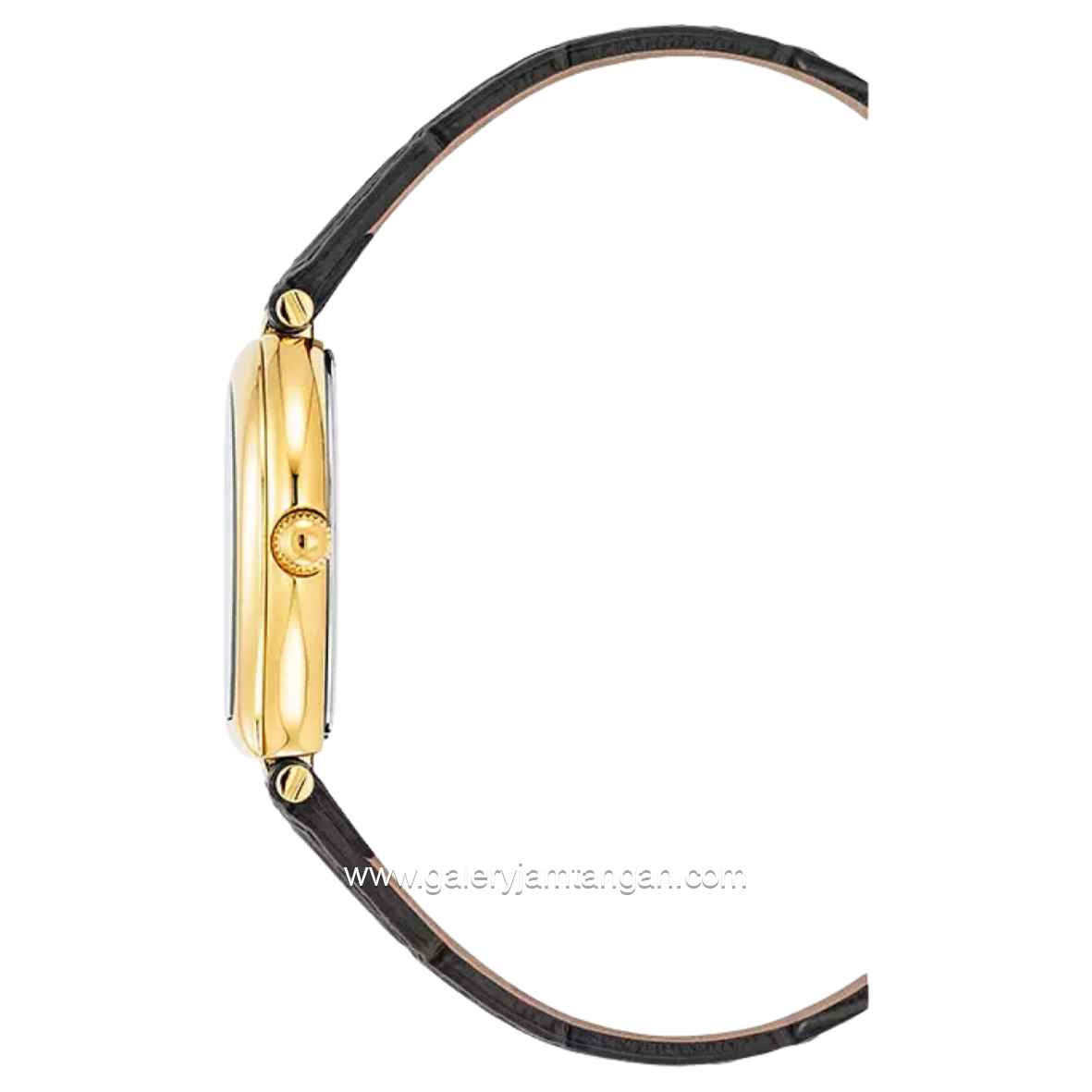 AIGNER AGW.238001 TRANI Leather Strap Swiss Made