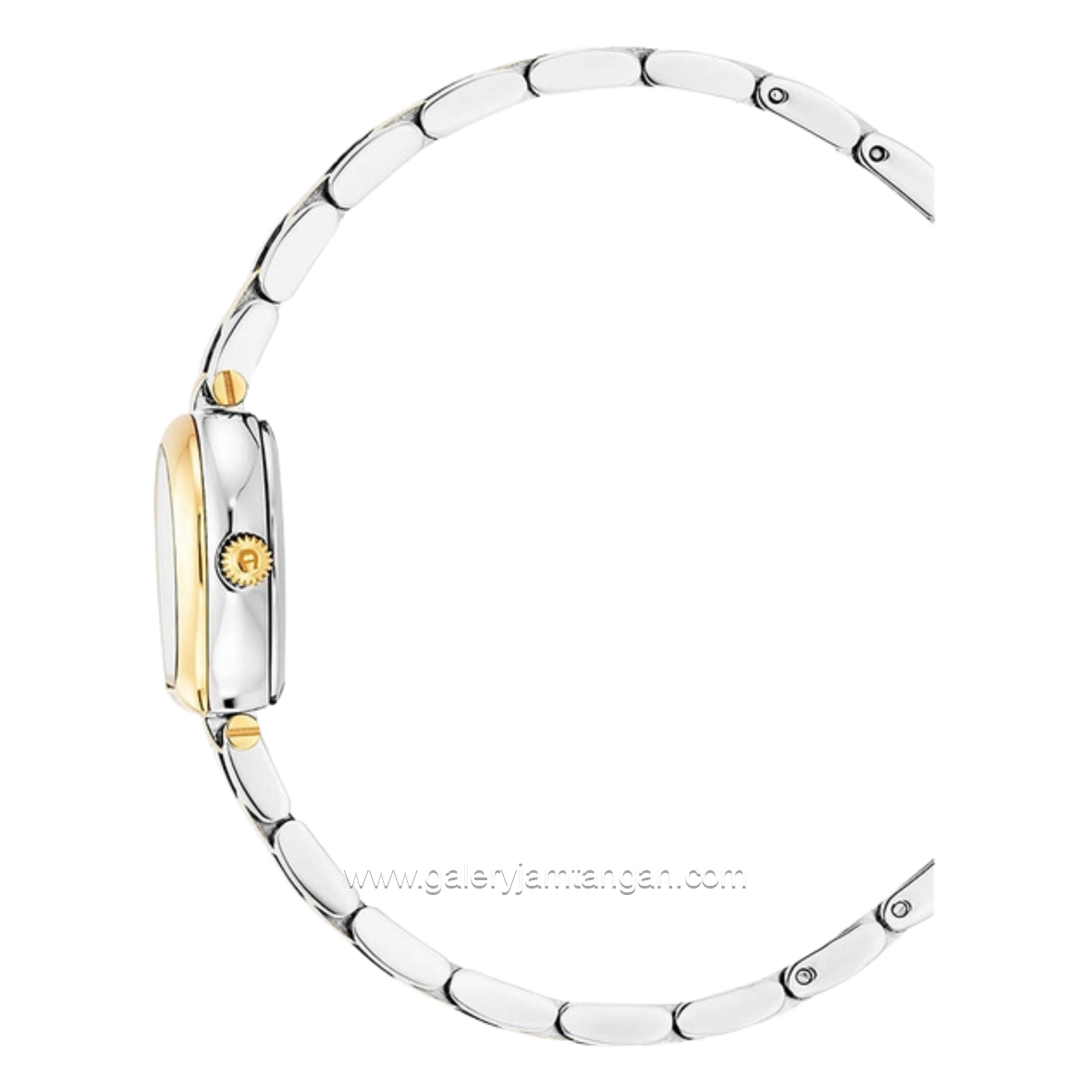 AIGNER AGW.256002 Women's Watch Silver Gold Swiss Made