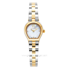 AIGNER AGW.256002 Women's Watch Silver Gold Swiss Made