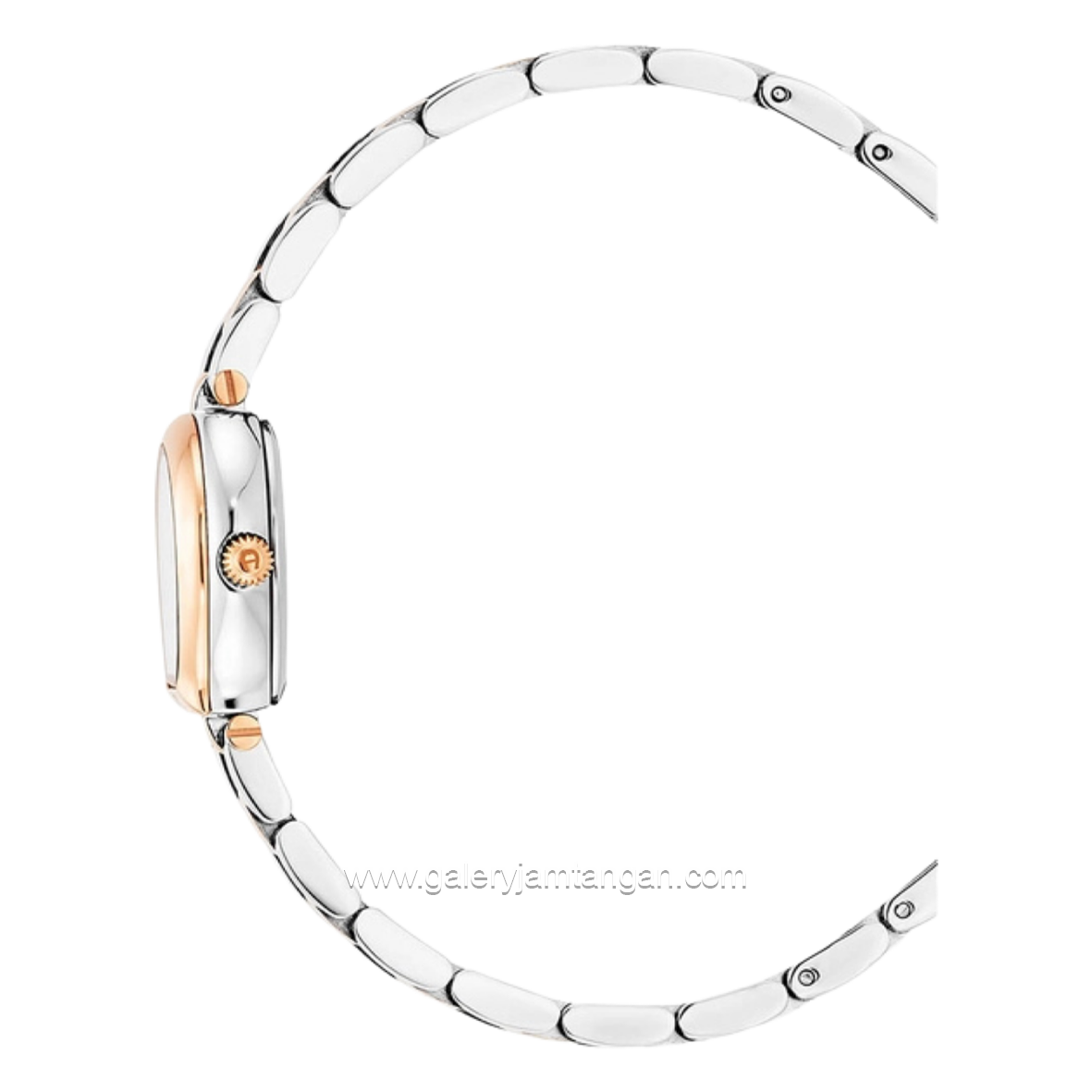 AIGNER AGW.256003 Women's Watch Silver Rosegold Swiss Made