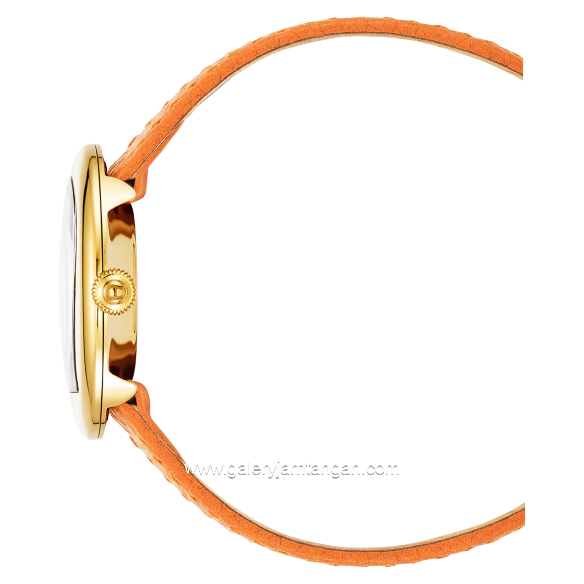 AIGNER BIELLA AGW.263002 Leather Swiss Made