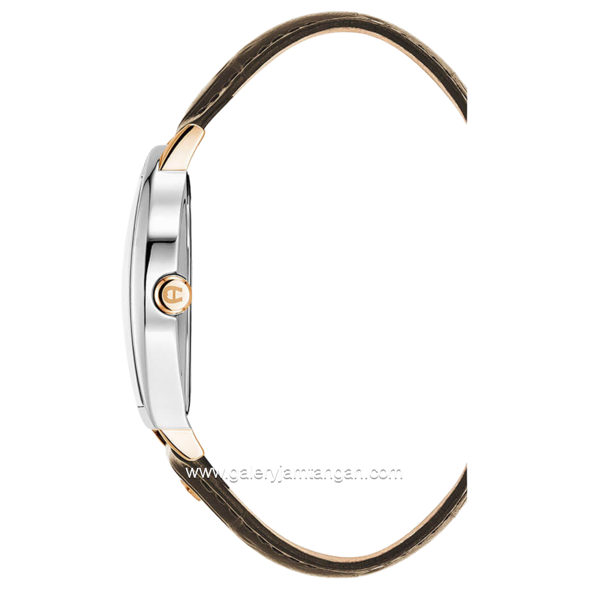 AIGNER DAIANO AGW.269003 Silver Combinasi Brown Leather Strap