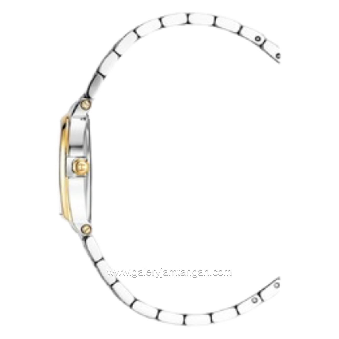 AIGNER DOGNA AGW.270002 Women's Watch Swiss Made