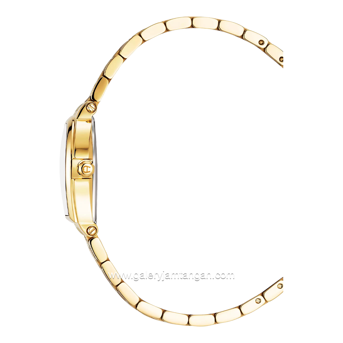 AIGNER DOGNA AGW.270003 Women's Watch Swiss Made