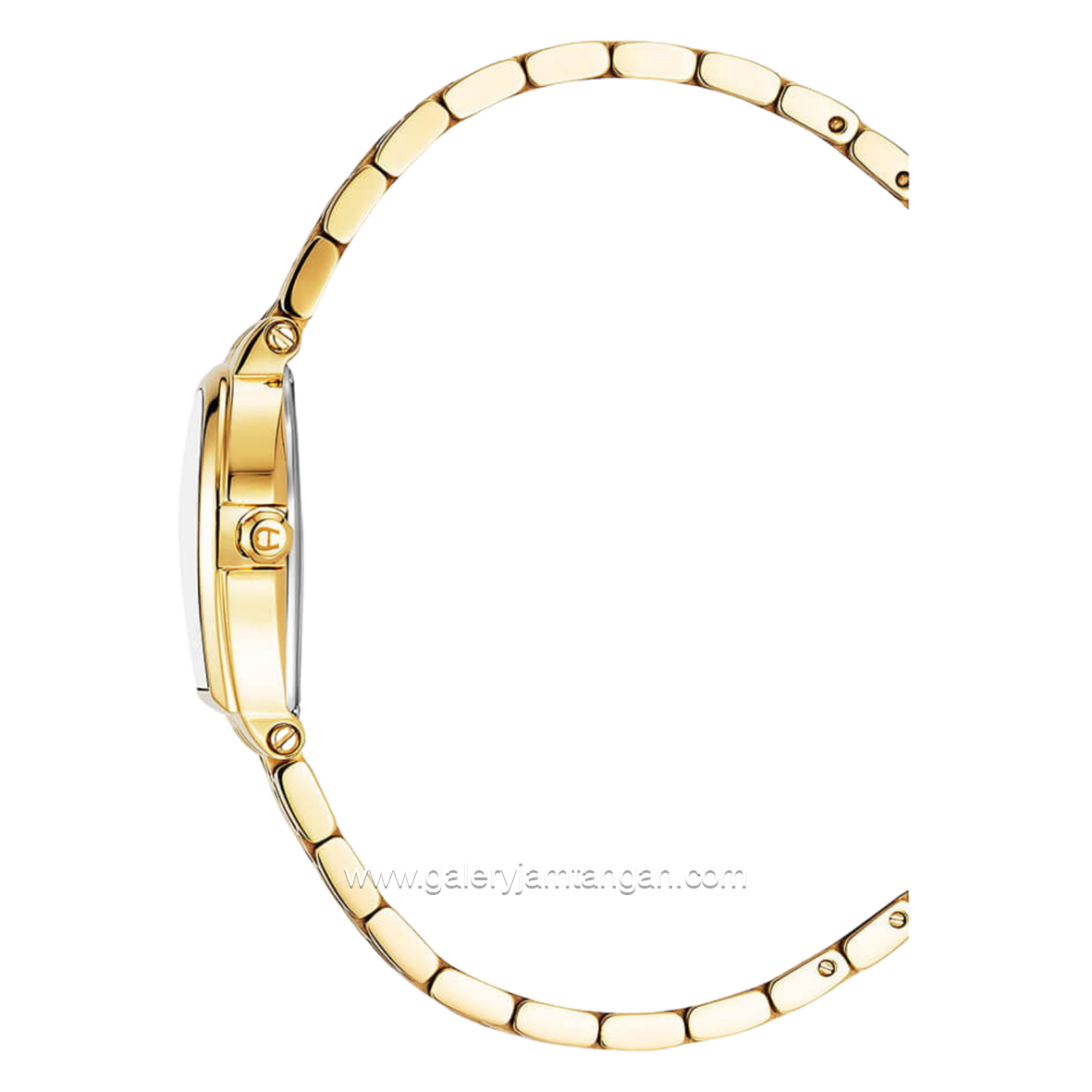 AIGNER DOGNA AGW.270004 Women's Watch Swiss Made