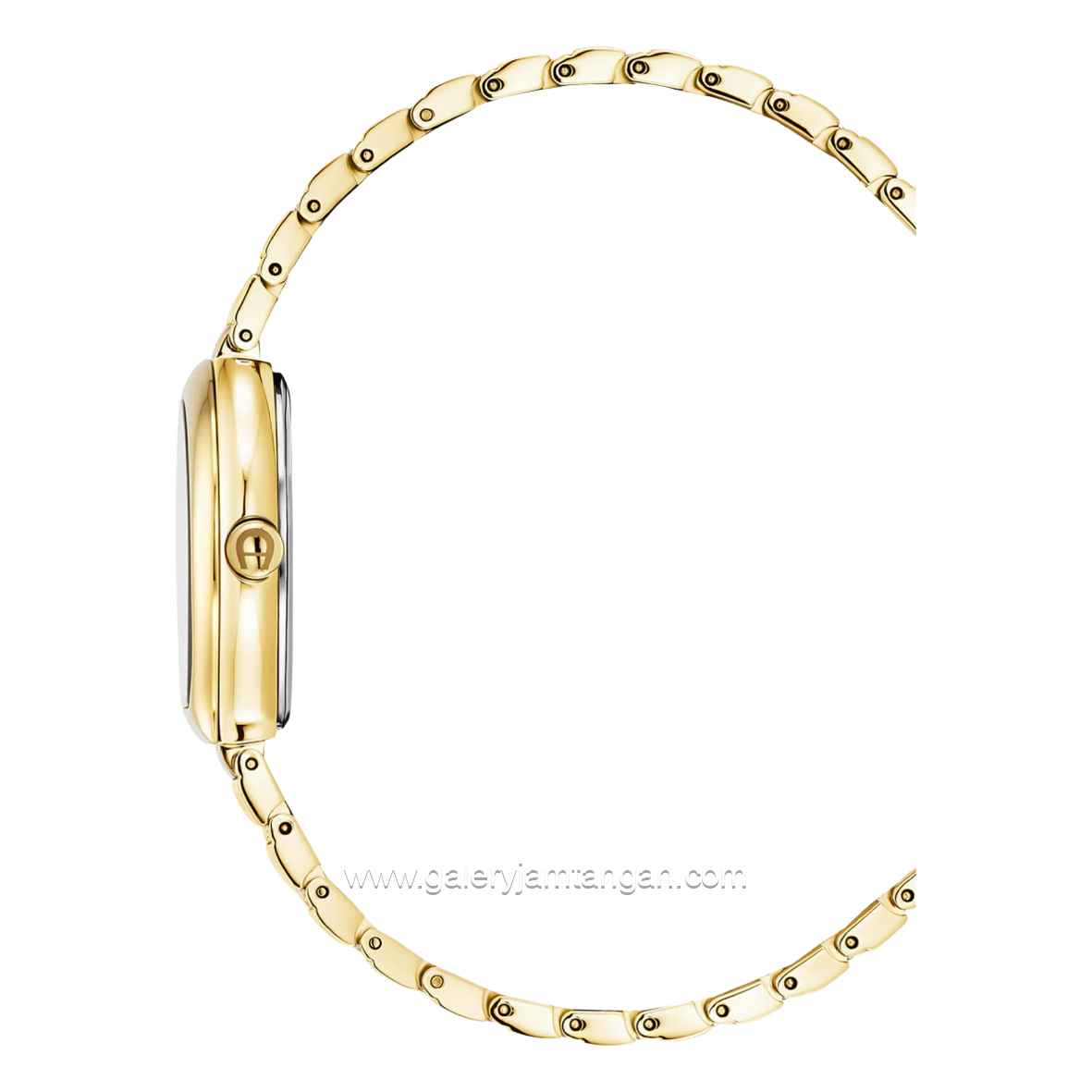 AIGNER GENOVA AGW.283005 Women's Watch Swiss Made