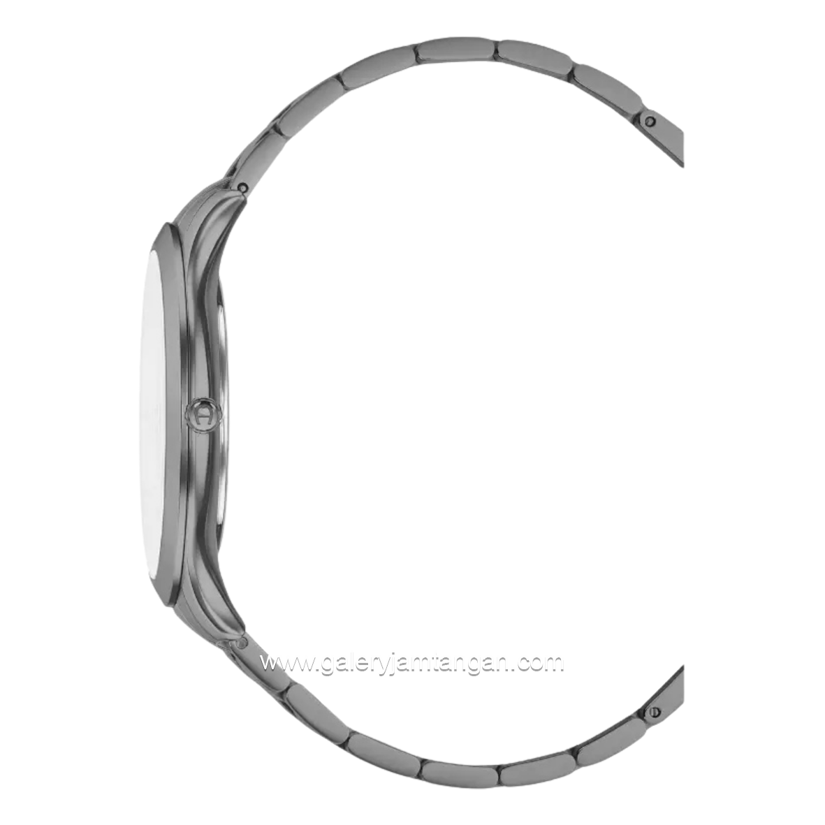 AIGNER AGW.295004 TREVISO Stainless Steel Swiss Made