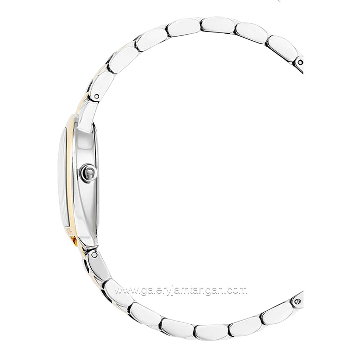 AIGNER ALESSANDRIA AGW.250003 Women's Watch Silver Gold Dial Silver Swiss Made