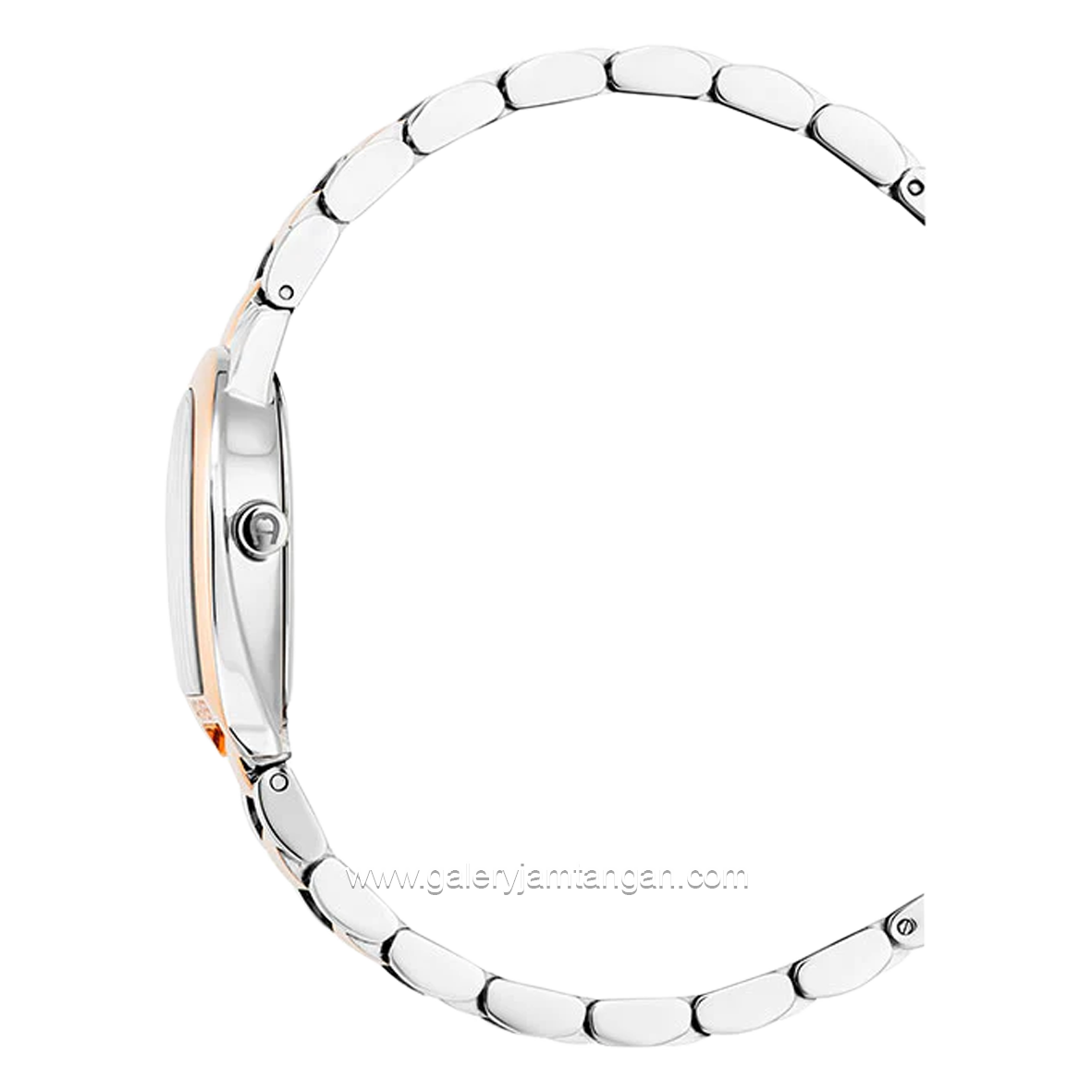 AIGNER ALESSANDRIA AGW.250005 Women's Watch Silver Rosegold Dial Silver Swiss Made