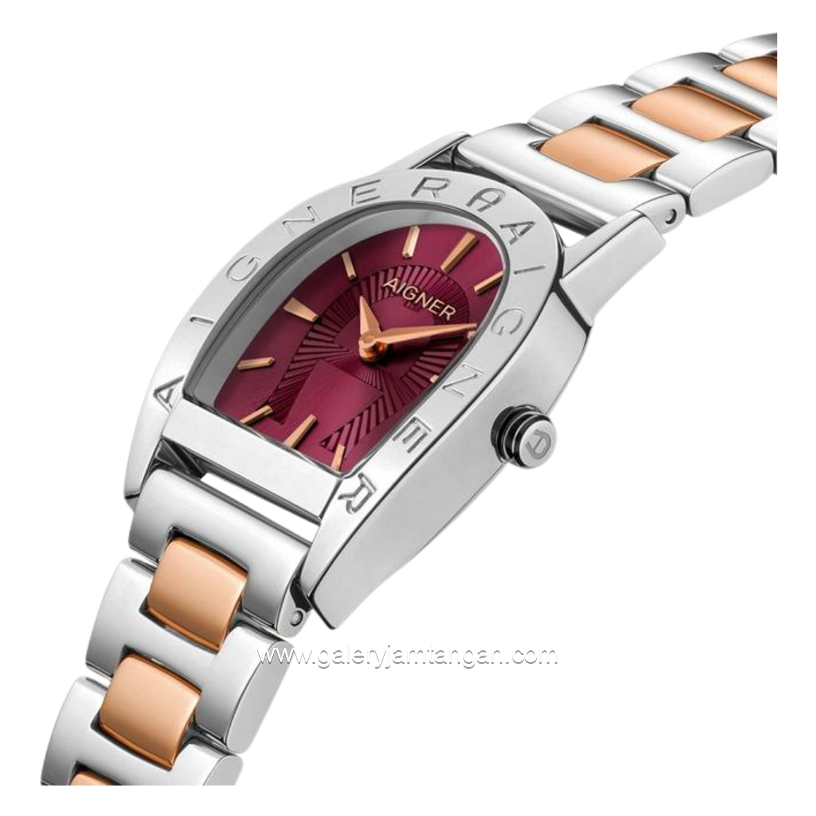 AIGNER PISA ARWLG0000601 Womens Watch Swiss Made