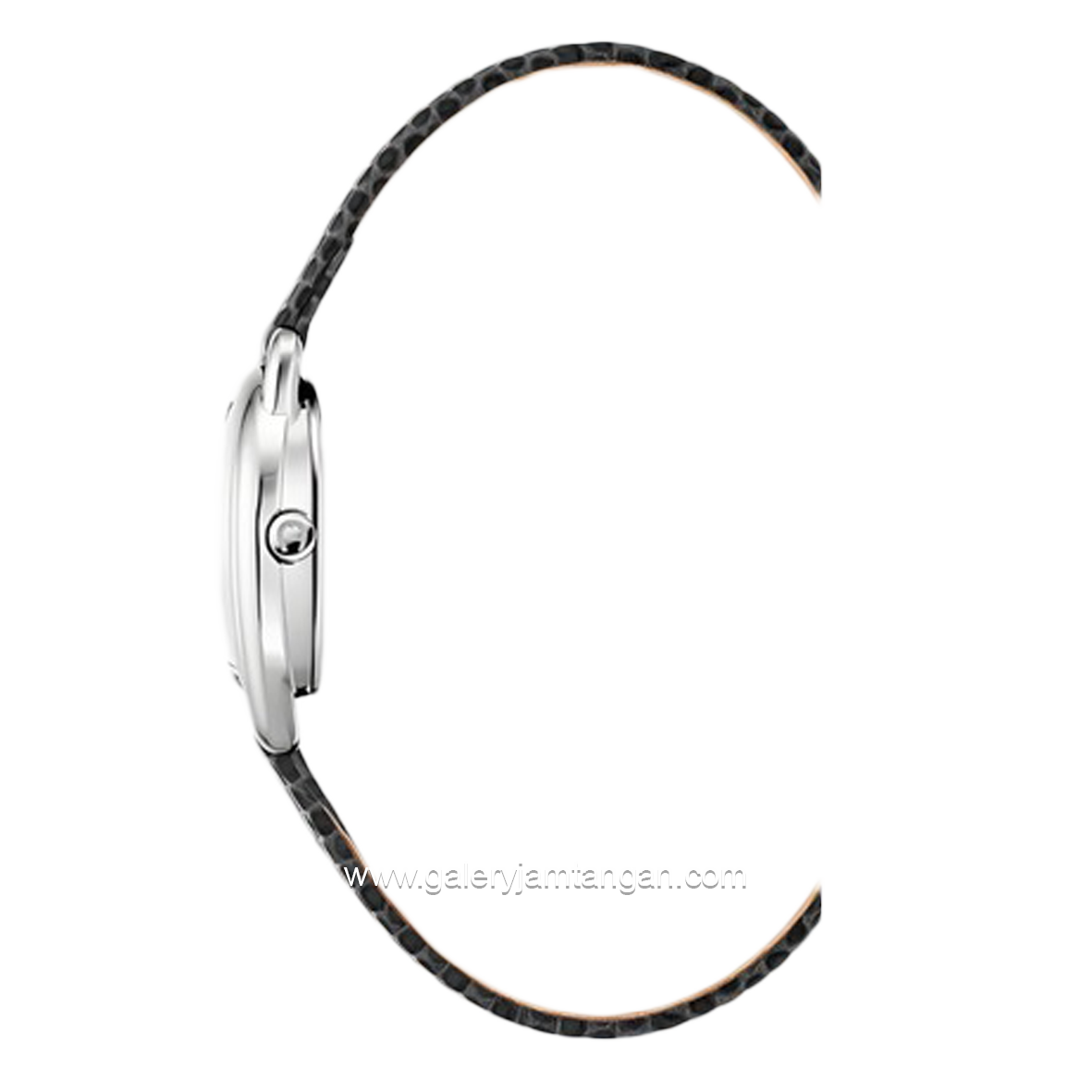 AIGNER HERMADA II AGW.281001.C Leather Strap Swiss Made
