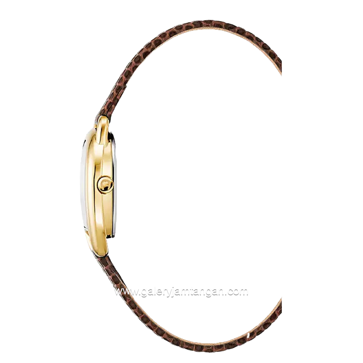 AIGNER HERMADA II AGW.281002.C Brown Gold Leather Strap