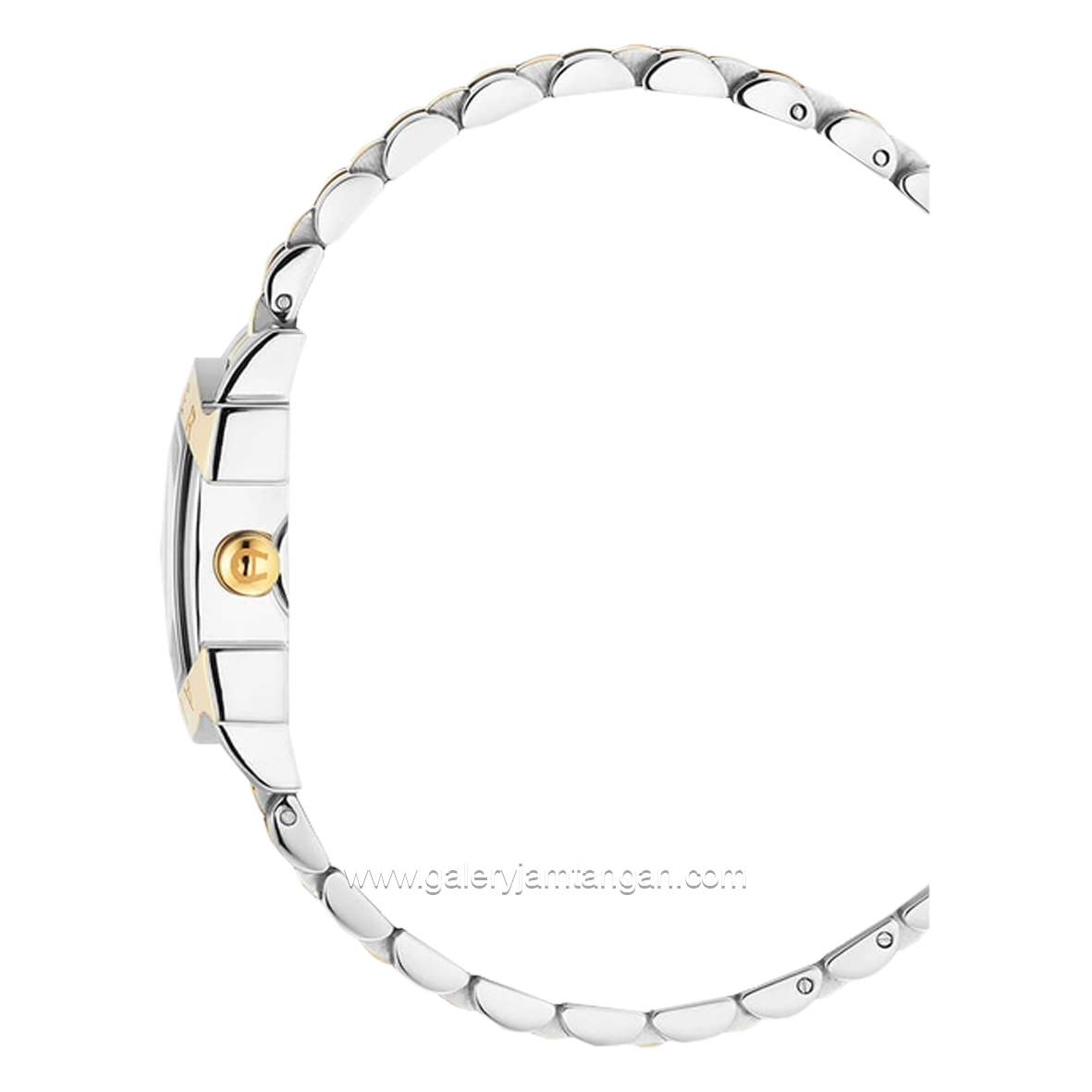 AIGNER MASSA MENO AGW.272002 Women's Silver Gold Stainless Steel Swiss Made