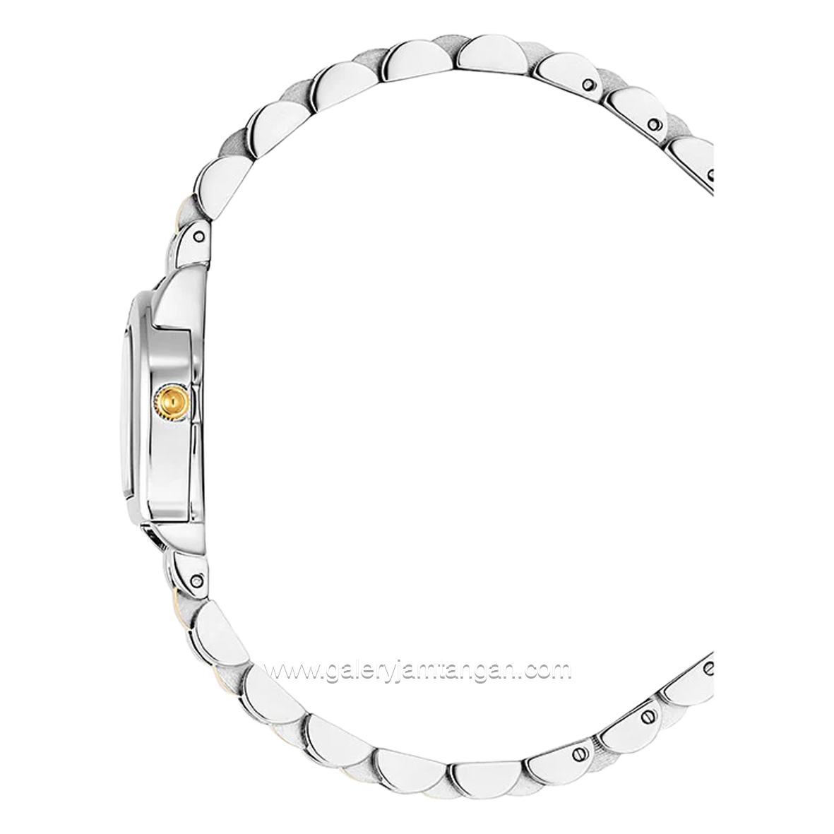 AIGNER MOLFETTA AGW.253002 Women's Watch Silver Gold Dial White Swiss Made