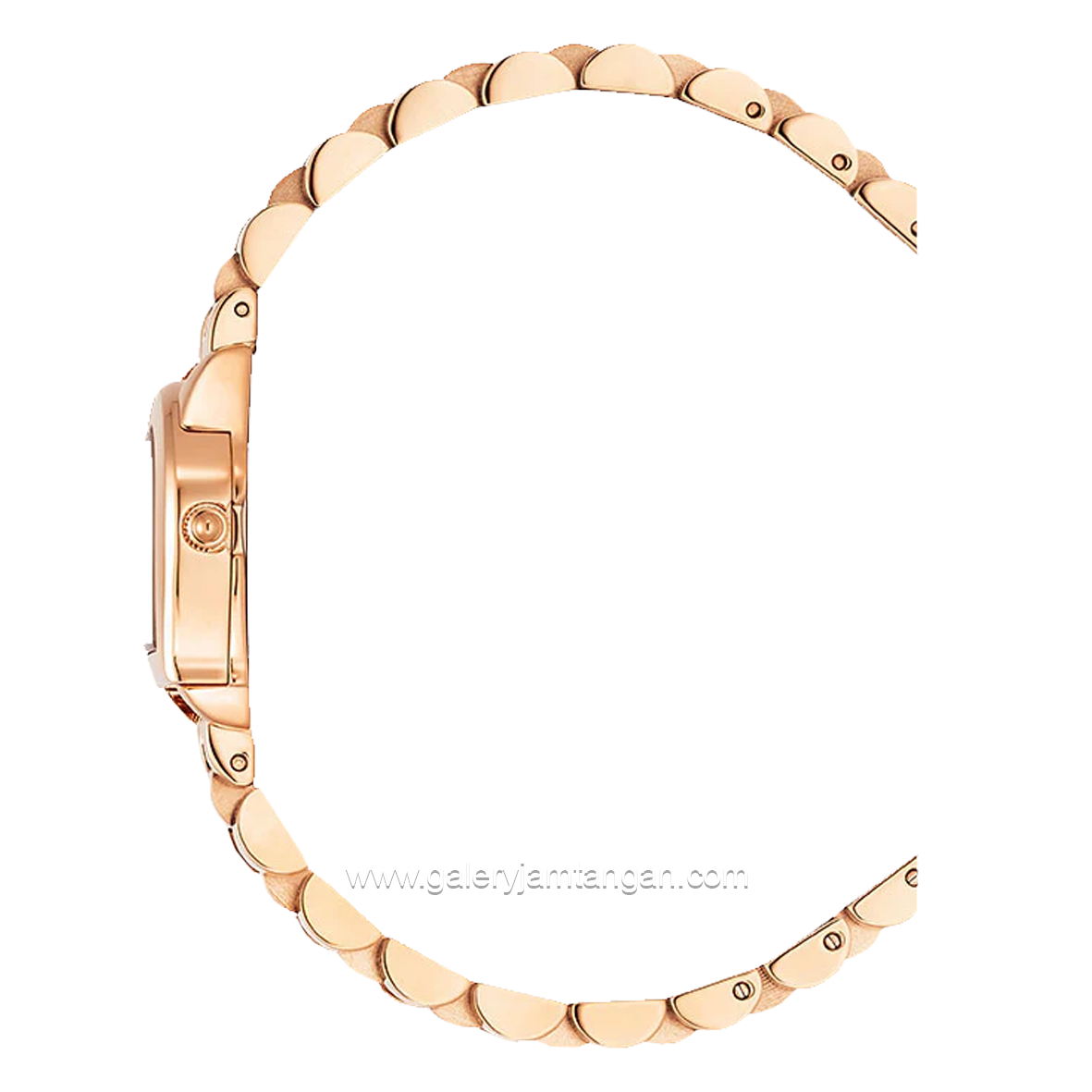 AIGNER MOLFETTA AGW.253005 Women's Watch Rosegold Dial White Swiss Made