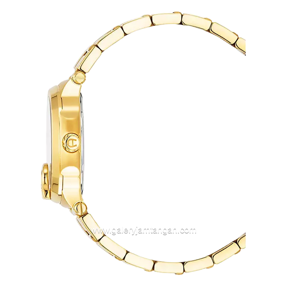 AIGNER TAVIANO 2 AGW.242004 Women's Watch Gold Series Swiss Made