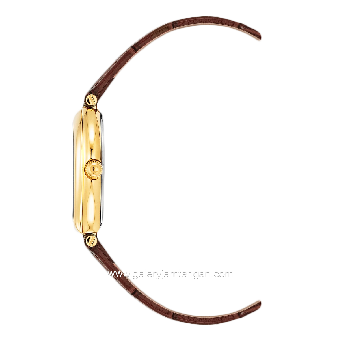 AIGNER TRANI AGW.238002 Brown Leather Strap Swiss Made